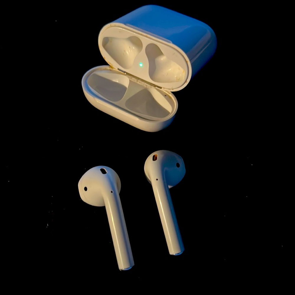 Apple 1st Generation ear buds